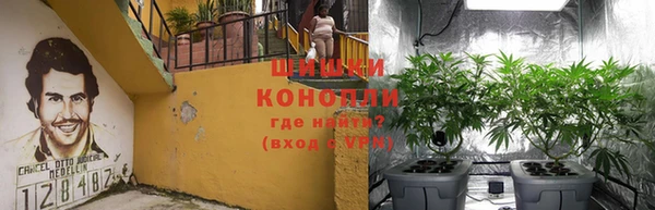 mdpv Богородск