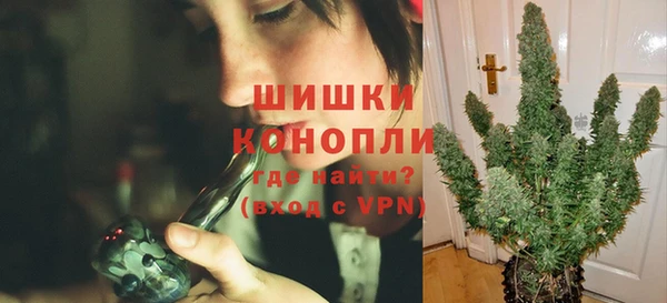 первитин Богданович