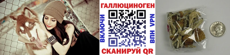 Галлюциногенные грибы GOLDEN TEACHER  Гатчина 