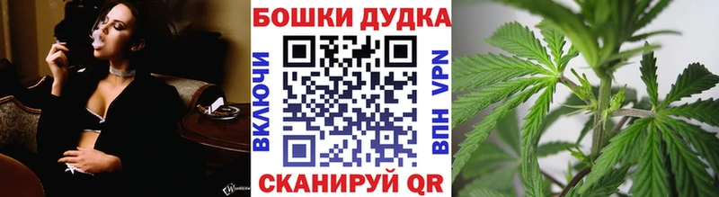 Бошки марихуана конопля  гидра   Гатчина 